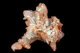 Natural, Red Quartz Crystal Cluster - Morocco #84352-1